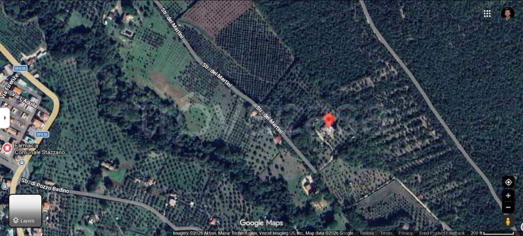 immagine annuncio 12 di 13