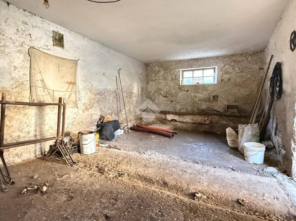 immagine annuncio 10 di 14