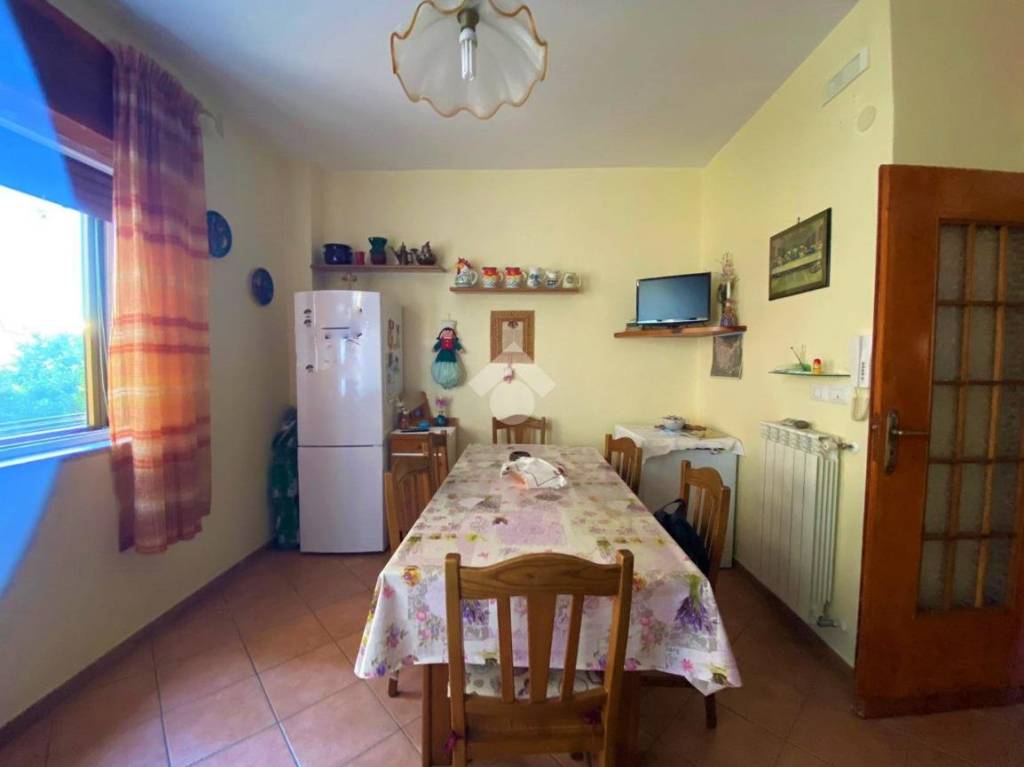 immagine annuncio 7 di 13