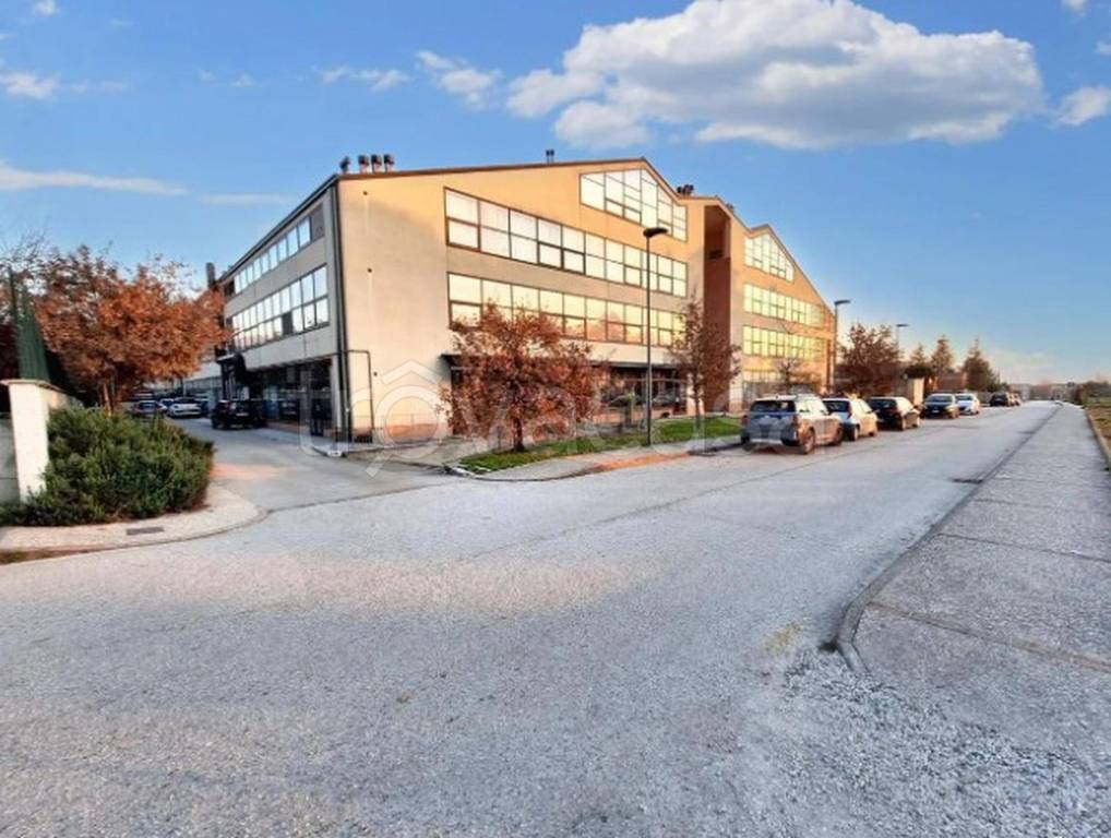 immagine annuncio 2 di 11