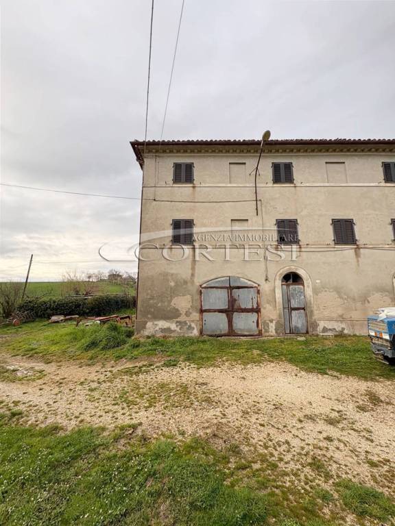 immagine annuncio 1 di 8