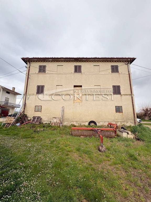 immagine annuncio 6 di 8