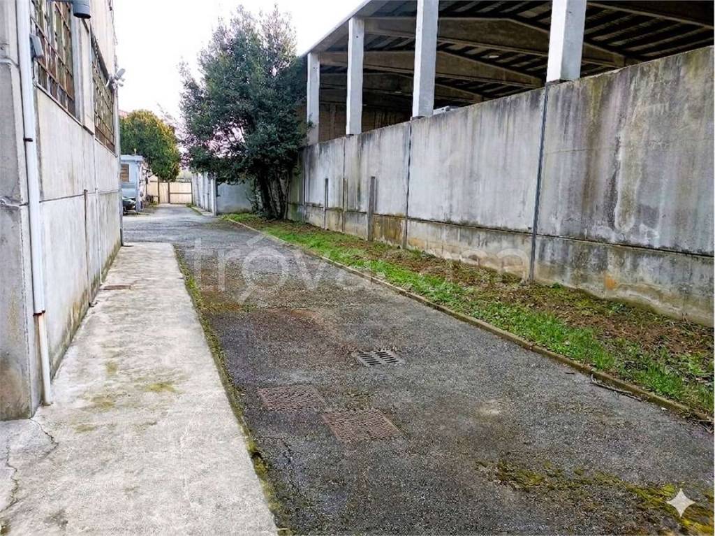 immagine annuncio 8 di 15