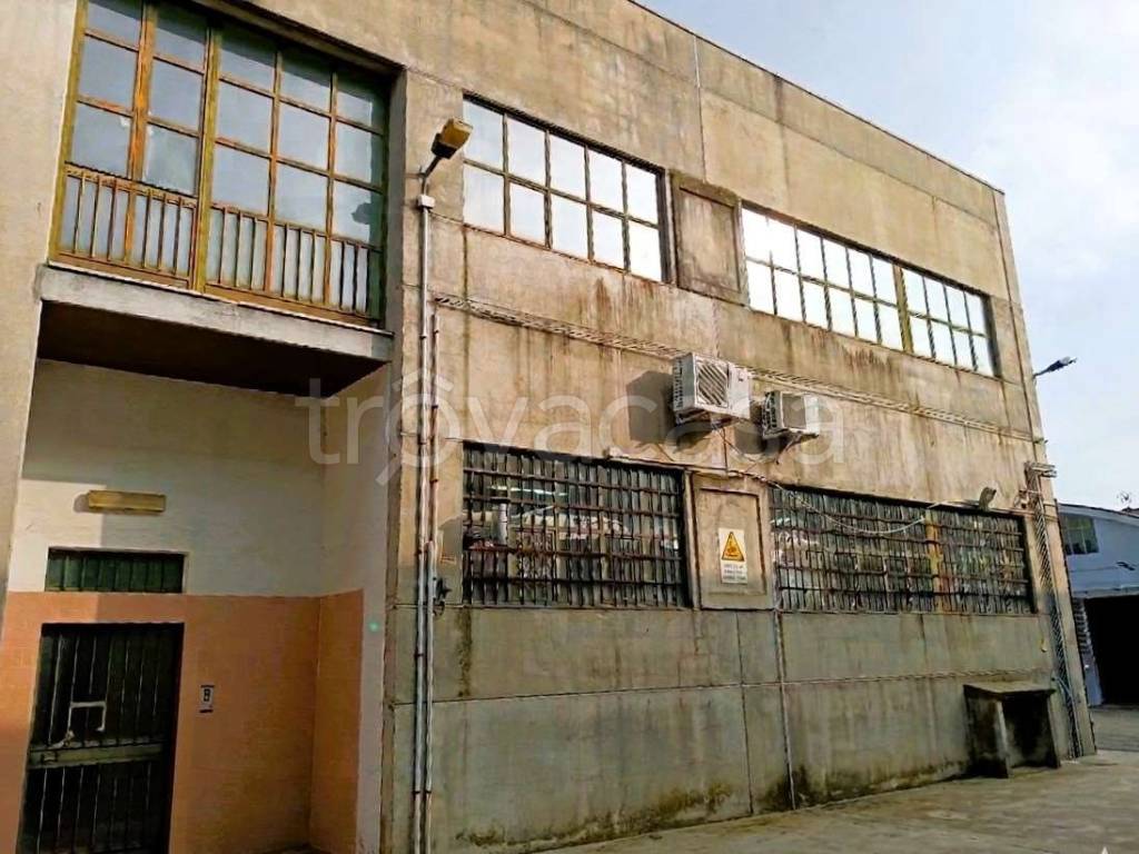 immagine annuncio 9 di 15