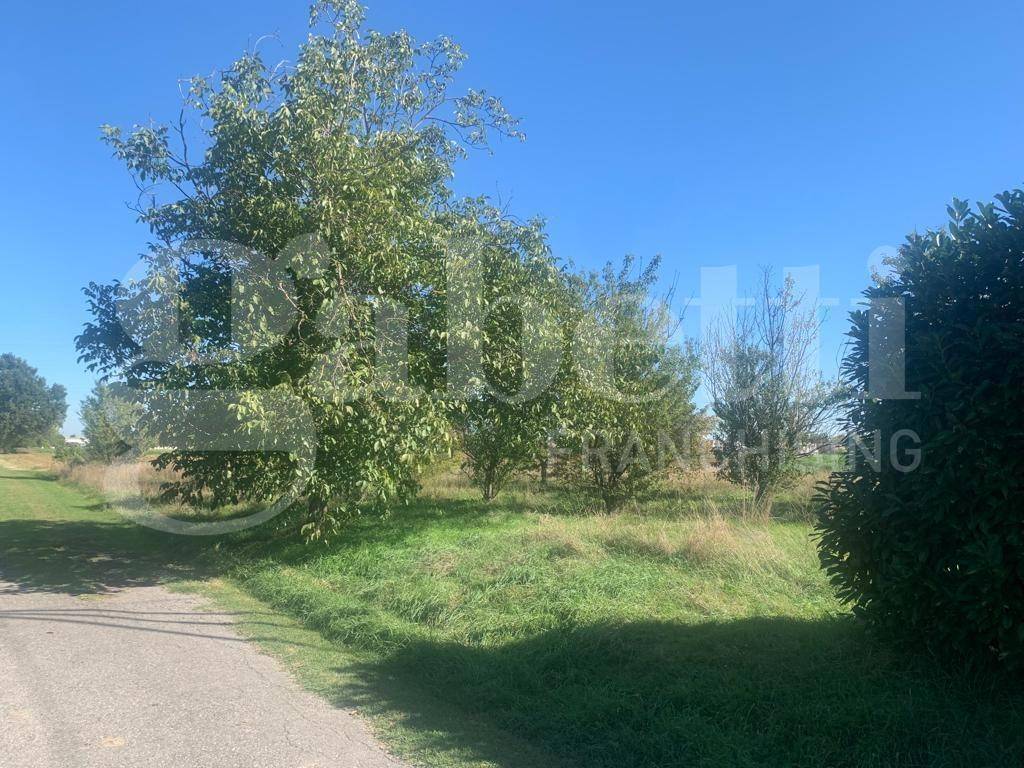 immagine annuncio 7 di 13