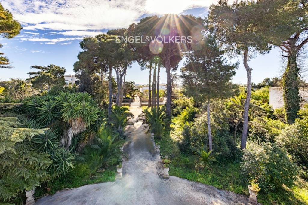 immagine annuncio 8 di 9