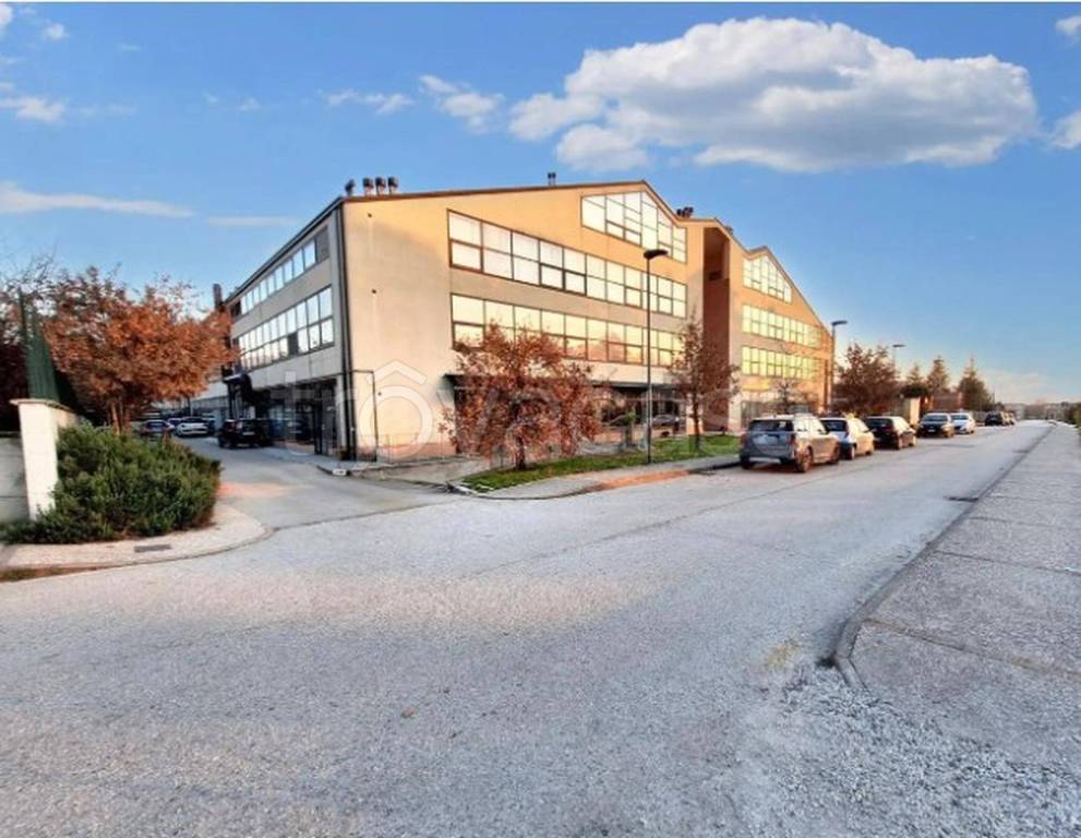 immagine annuncio 7 di 11