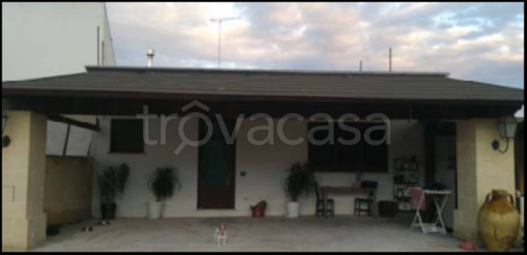 immagine annuncio 1 di 14