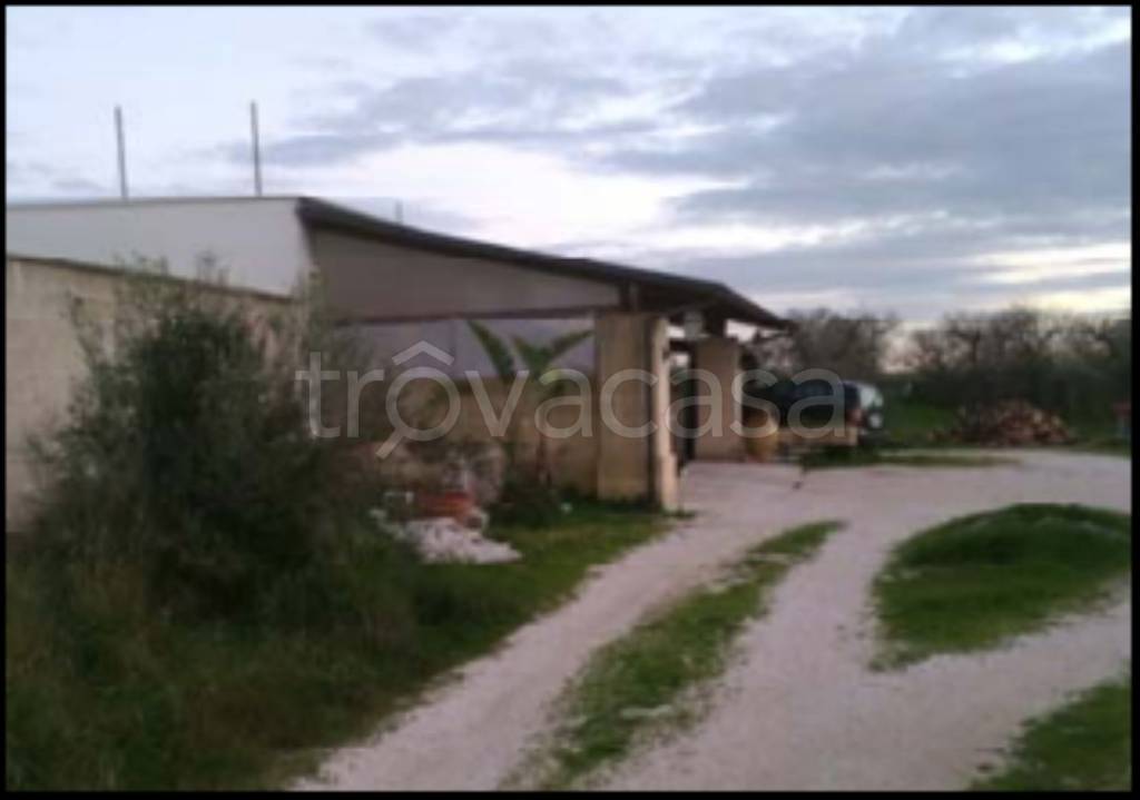 immagine annuncio 2 di 14