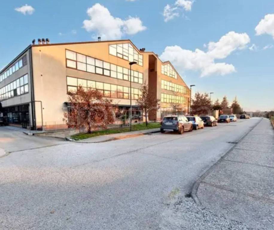 immagine annuncio 4 di 12