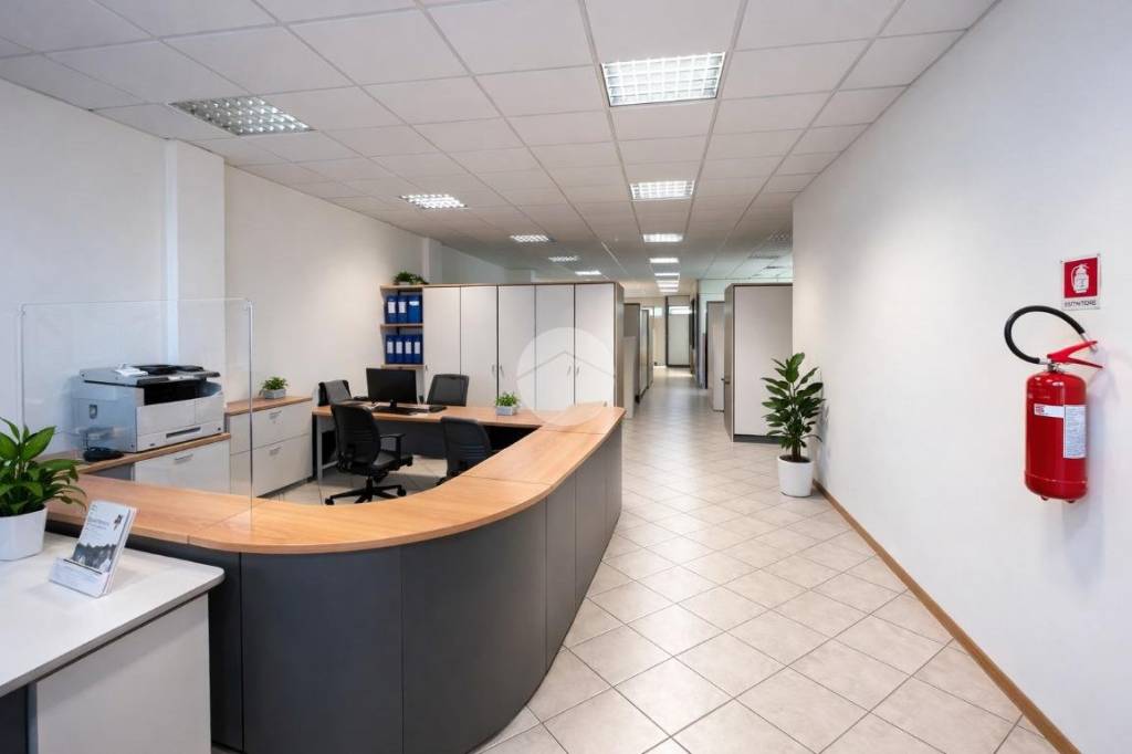 immagine annuncio 1 di 9