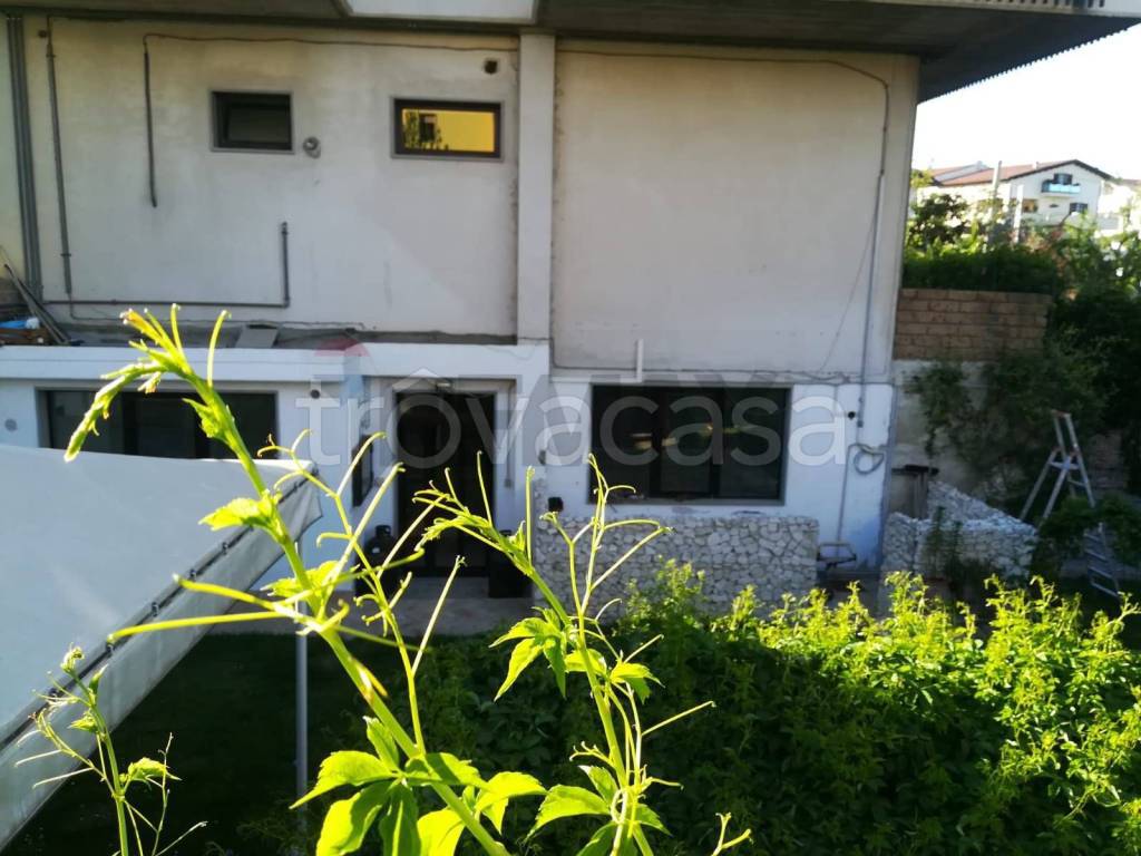 immagine annuncio 8 di 13