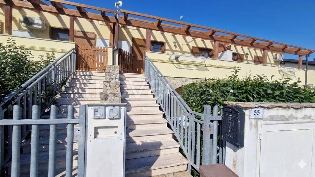 immagine annuncio 1 di 14