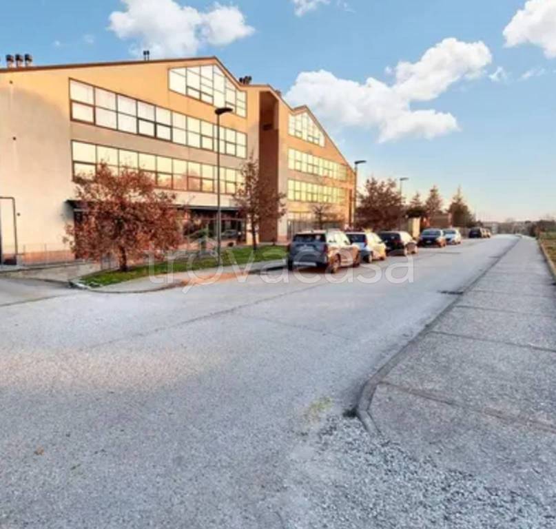 immagine annuncio 4 di 12