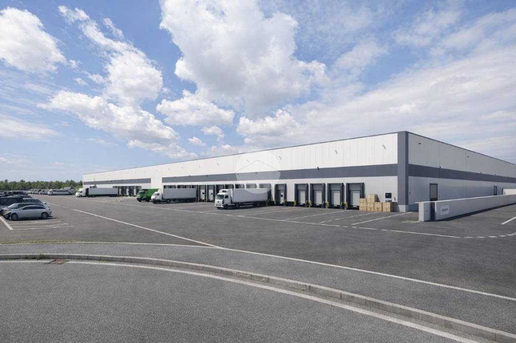 immagine annuncio 1 di 8