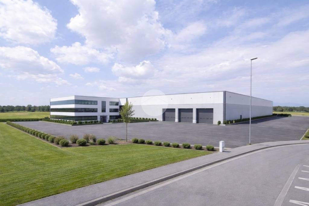 immagine annuncio 2 di 8