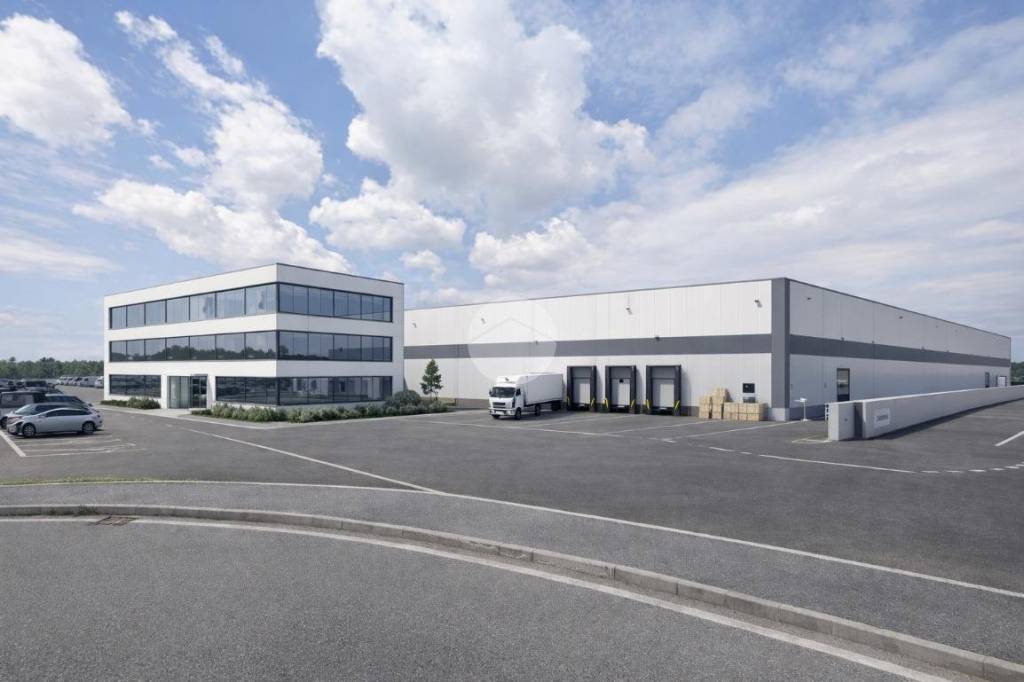 immagine annuncio 3 di 8