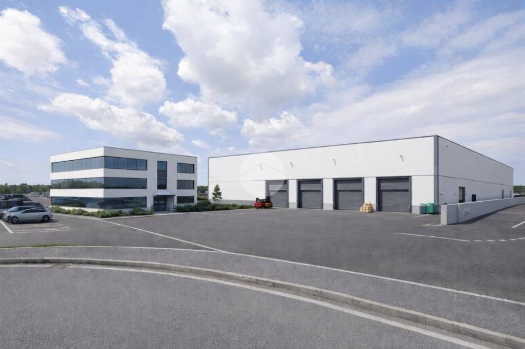 immagine annuncio 5 di 8