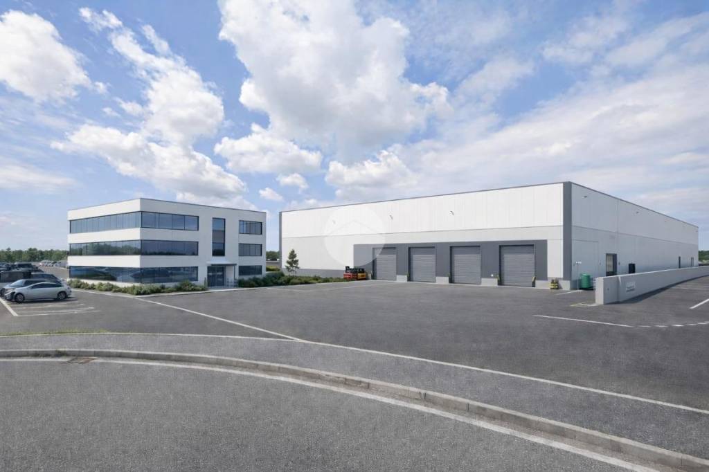 immagine annuncio 6 di 8