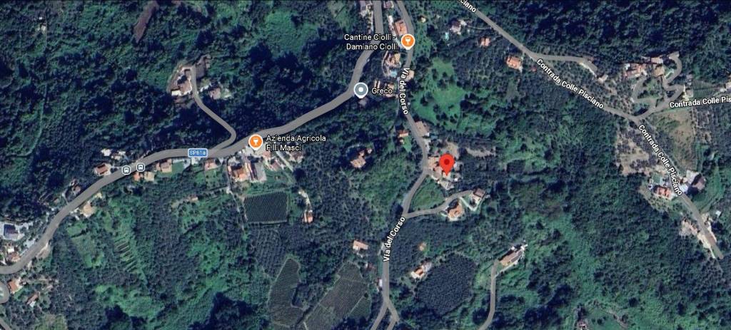 immagine annuncio 10 di 12