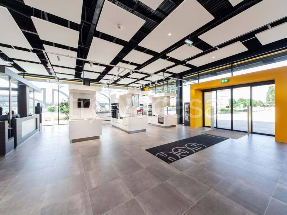 immagine annuncio 2 di 4