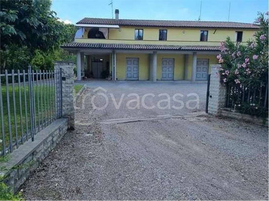 immagine annuncio 3 di 14