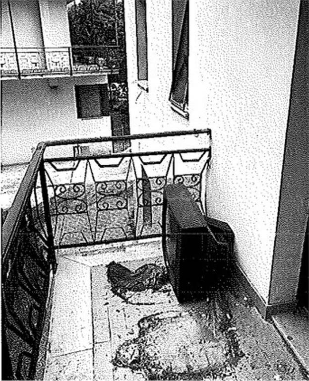 immagine annuncio 11 di 14