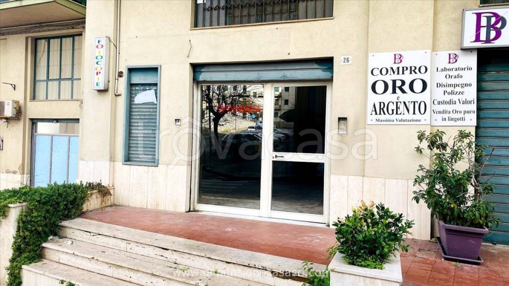 immagine annuncio 4 di 7