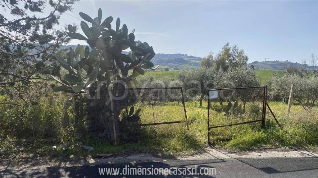immagine annuncio 1 di 6