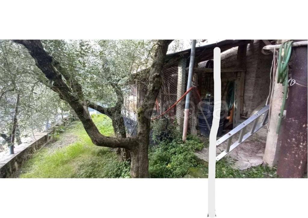 immagine annuncio 6 di 12