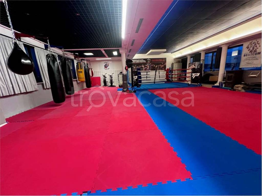 immagine annuncio 1 di 11