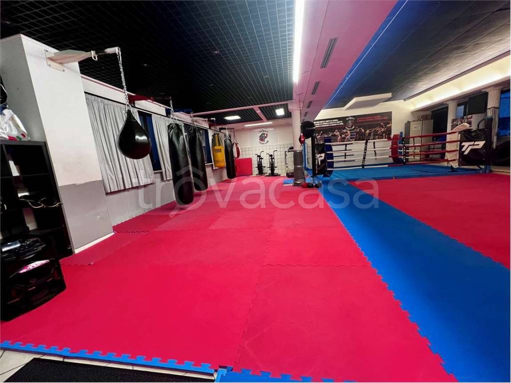 immagine annuncio 2 di 11