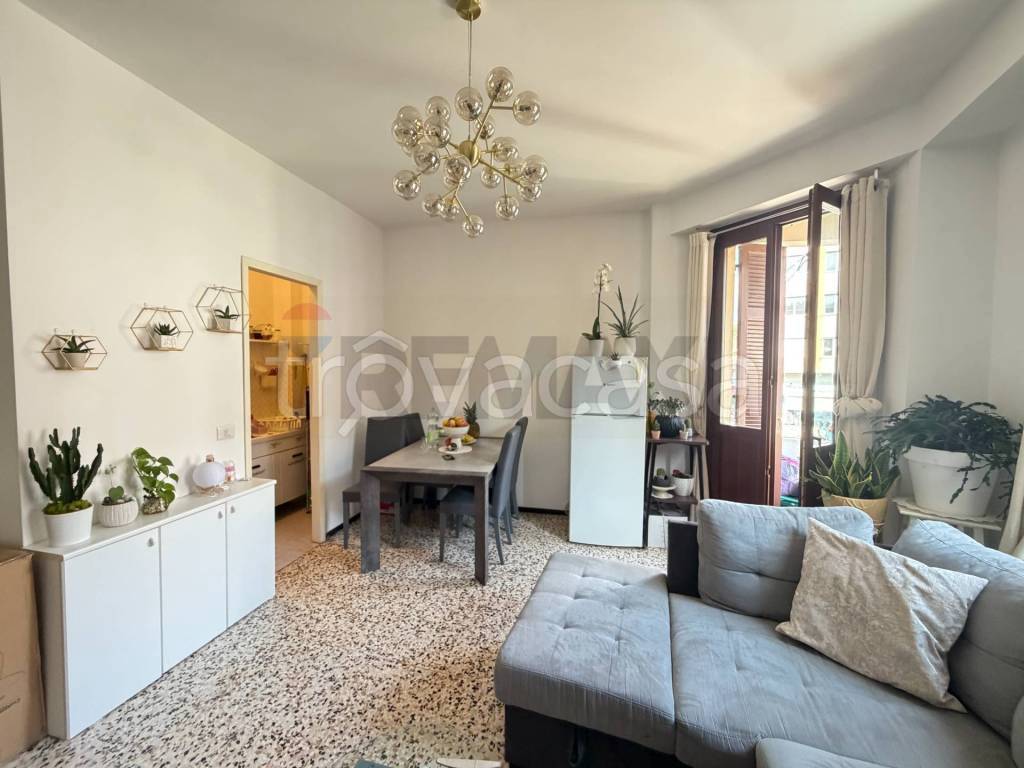 immagine annuncio 4 di 13