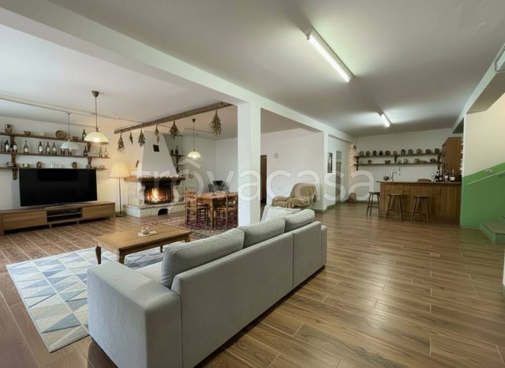 immagine annuncio 12 di 14