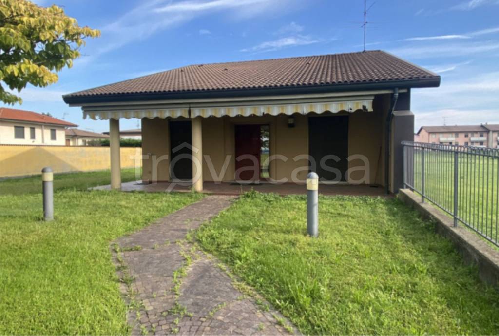 immagine annuncio 1 di 15