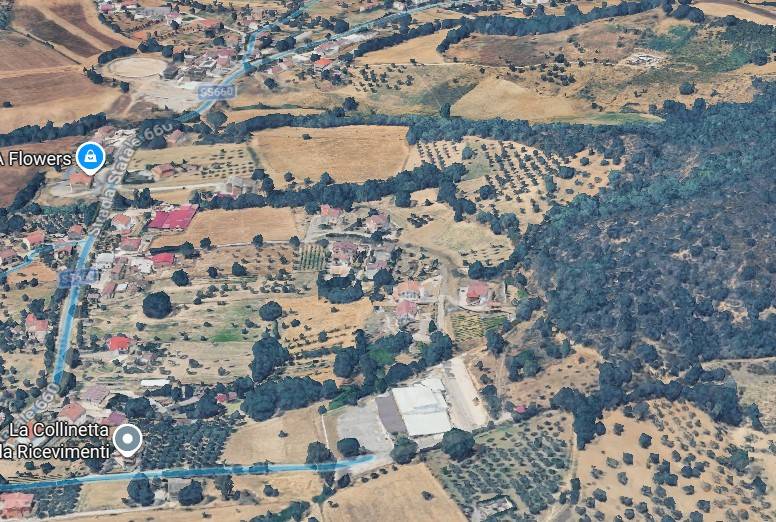 immagine annuncio 3 di 15