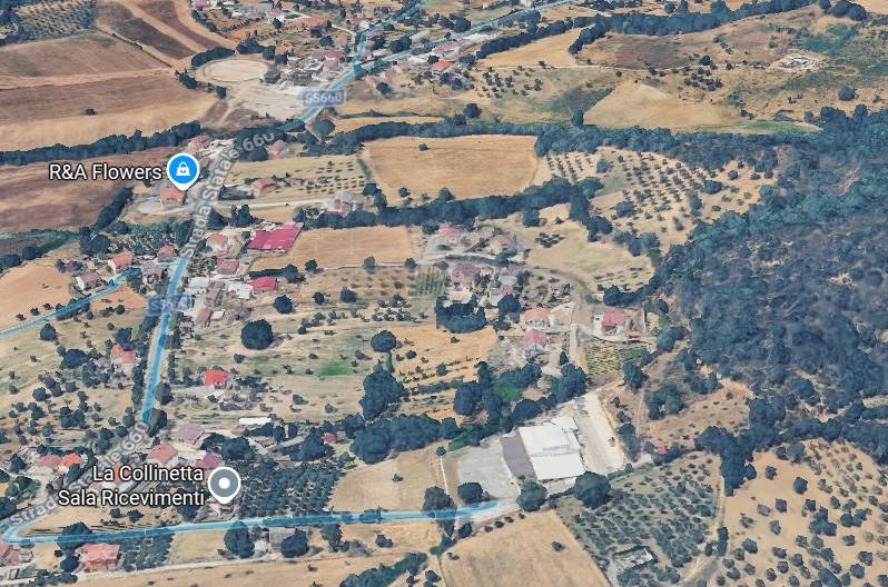 immagine annuncio 2 di 15