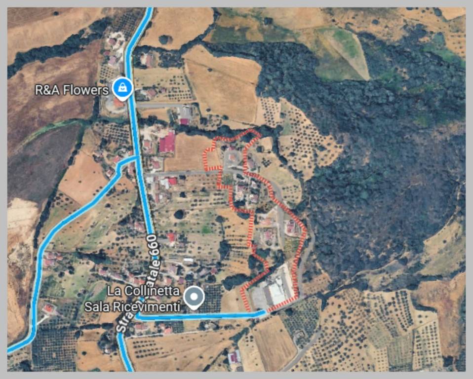 immagine annuncio 4 di 15