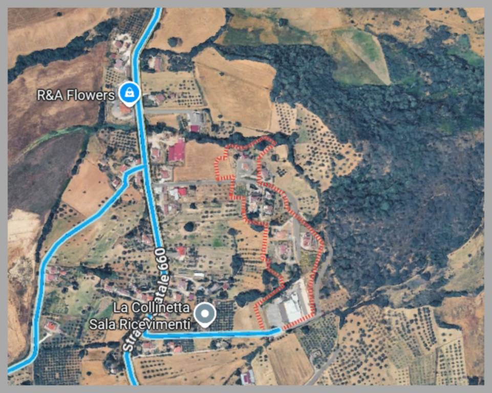 immagine annuncio 7 di 15