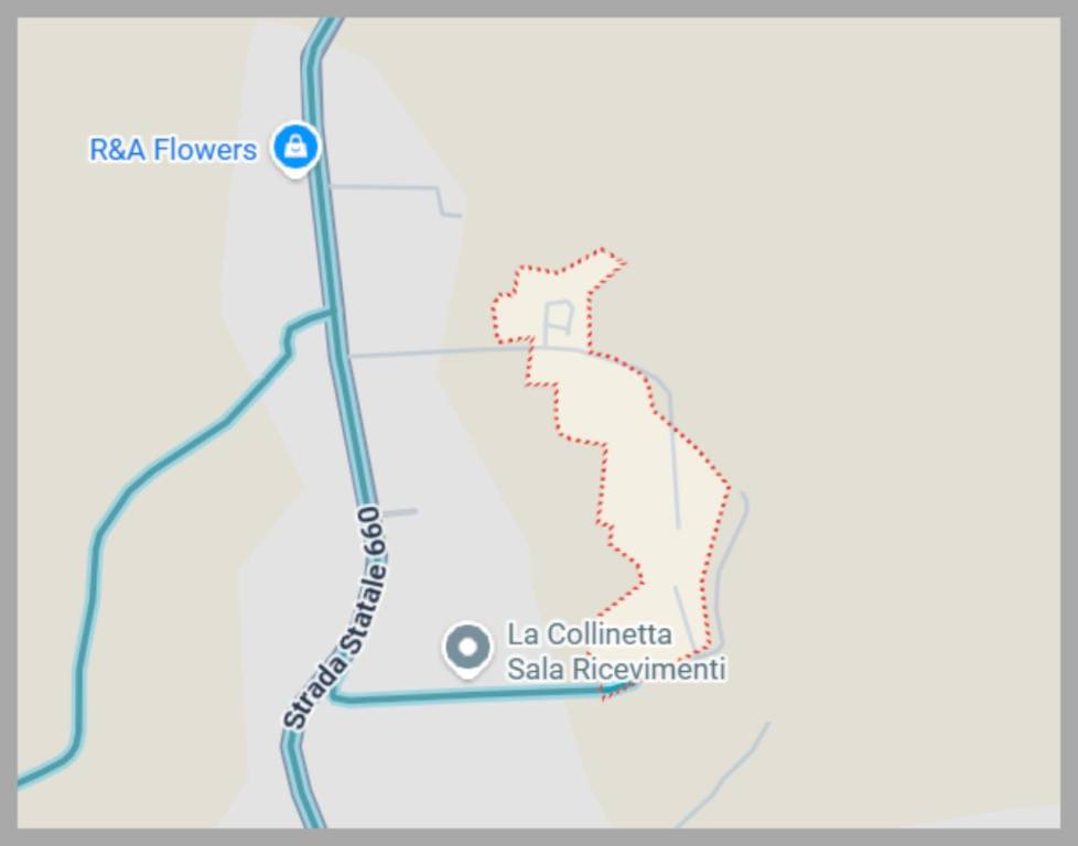 immagine annuncio 9 di 15