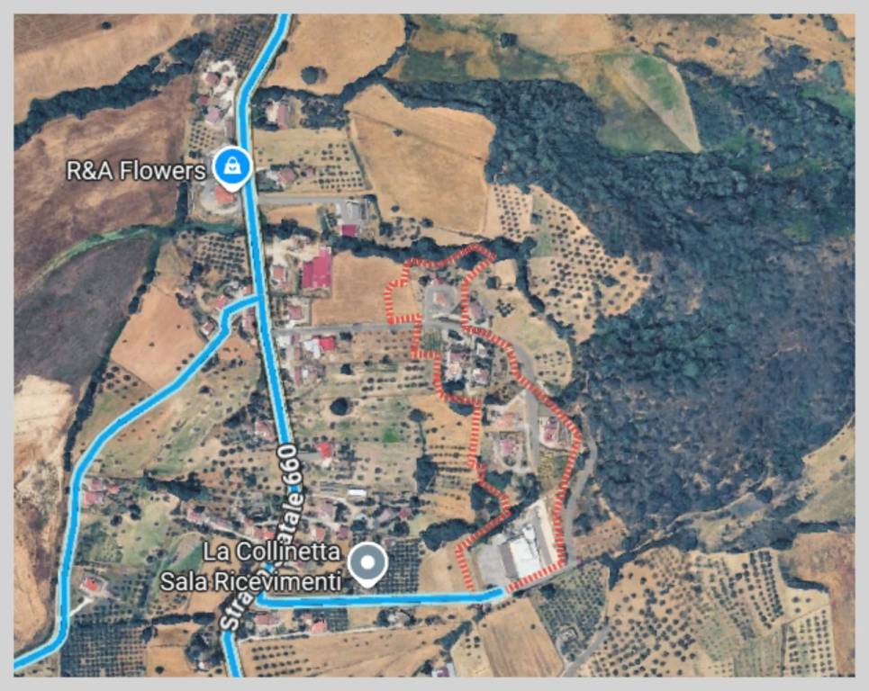 immagine annuncio 10 di 15