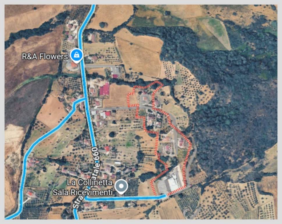 immagine annuncio 13 di 15