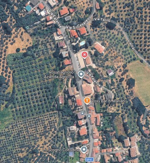 immagine annuncio 5 di 15