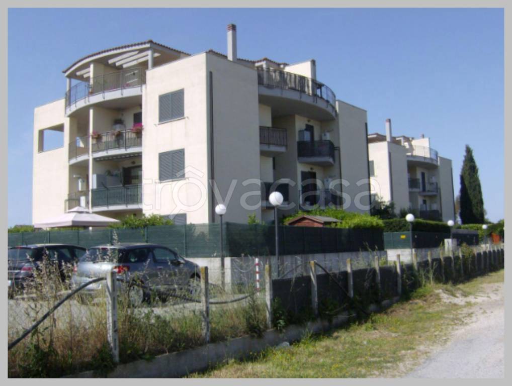 immagine annuncio 11 di 15