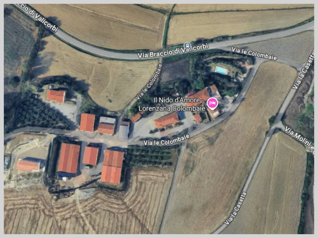 immagine annuncio 11 di 15