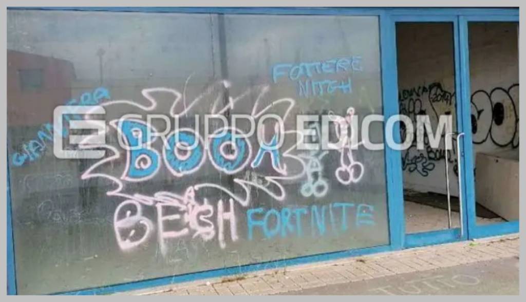 immagine annuncio 11 di 15