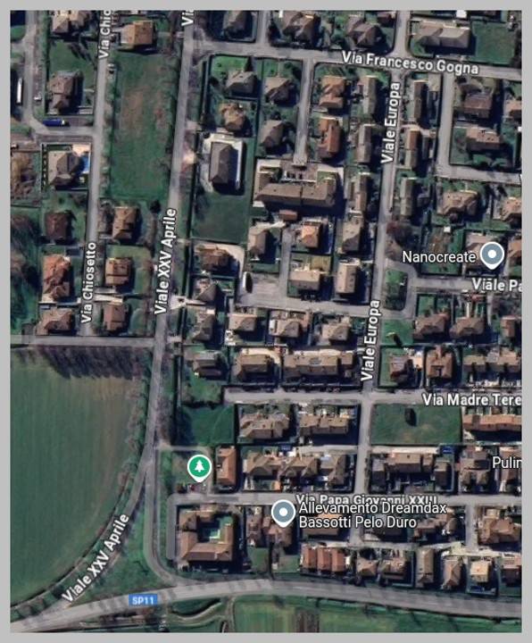 immagine annuncio 13 di 15