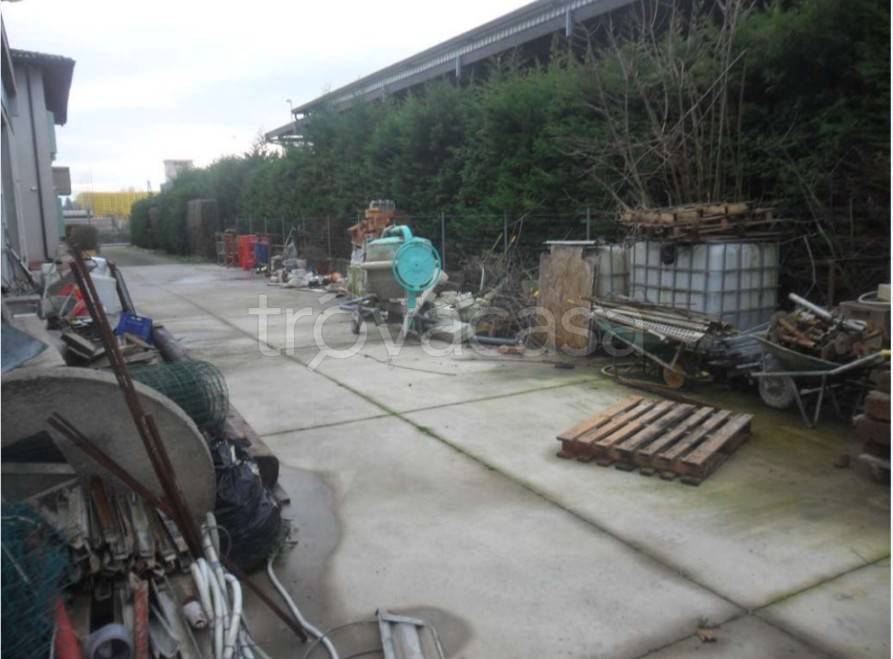 immagine annuncio 8 di 15