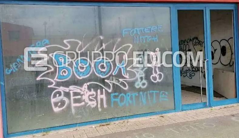 immagine annuncio 5 di 15