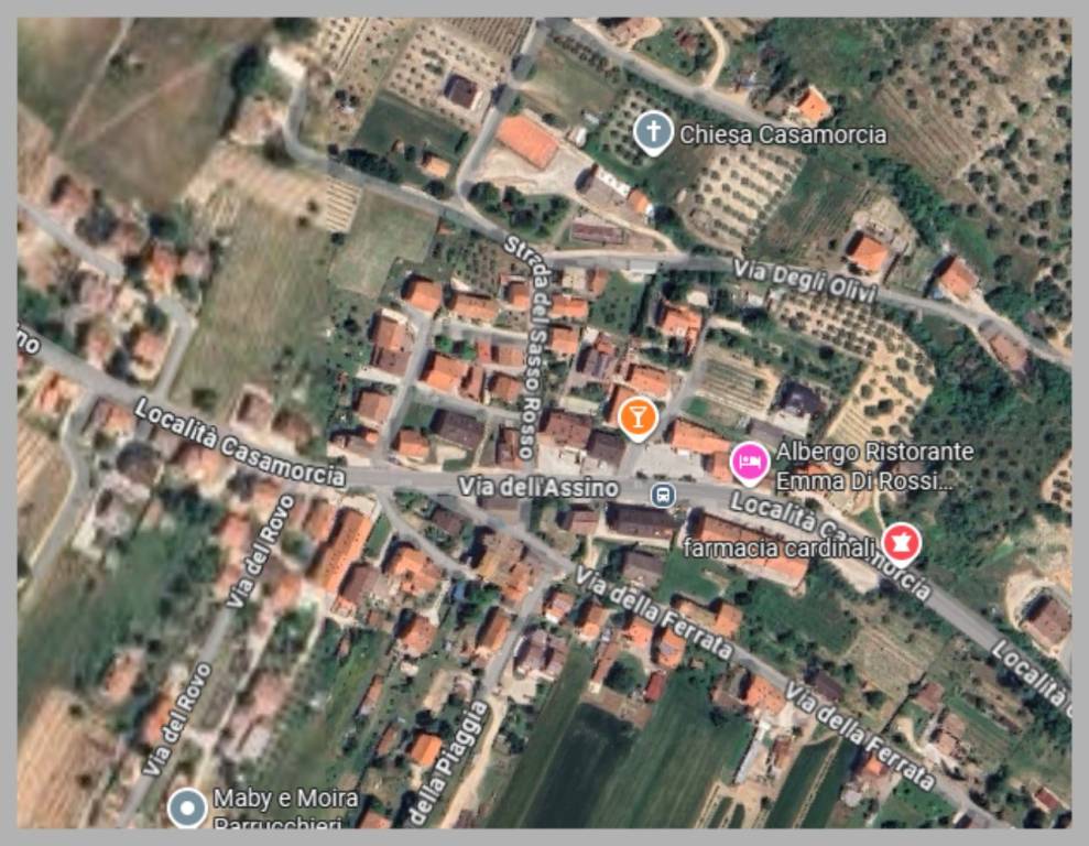 immagine annuncio 12 di 15